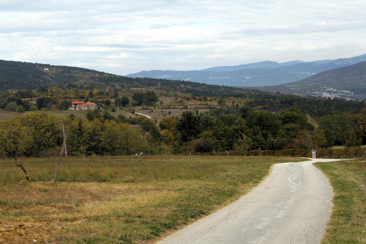 Family Friendly Apartments With A Swimming Pool Cepic, Central Istria - Sredisnja Istra - 11636 Zatka Cepic Екстериор снимка